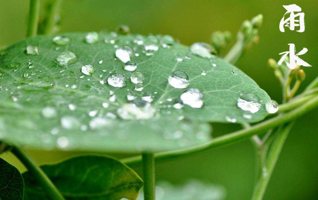 雨水！